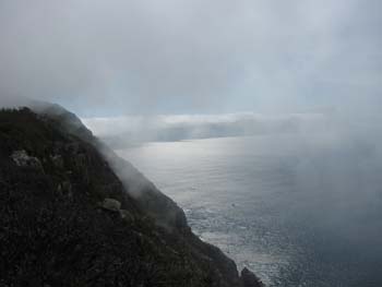 IMG_1367