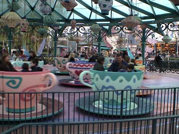 1h. Teacups