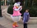 3l. Duck