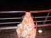 DSC02440