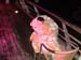 DSC02446